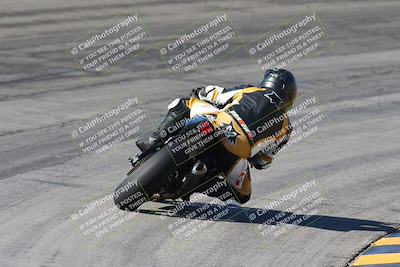 media/Feb-04-2024-SoCal Trackdays (Sun) [[91d6515b1d]]/4-Bowl Backside (11am)/